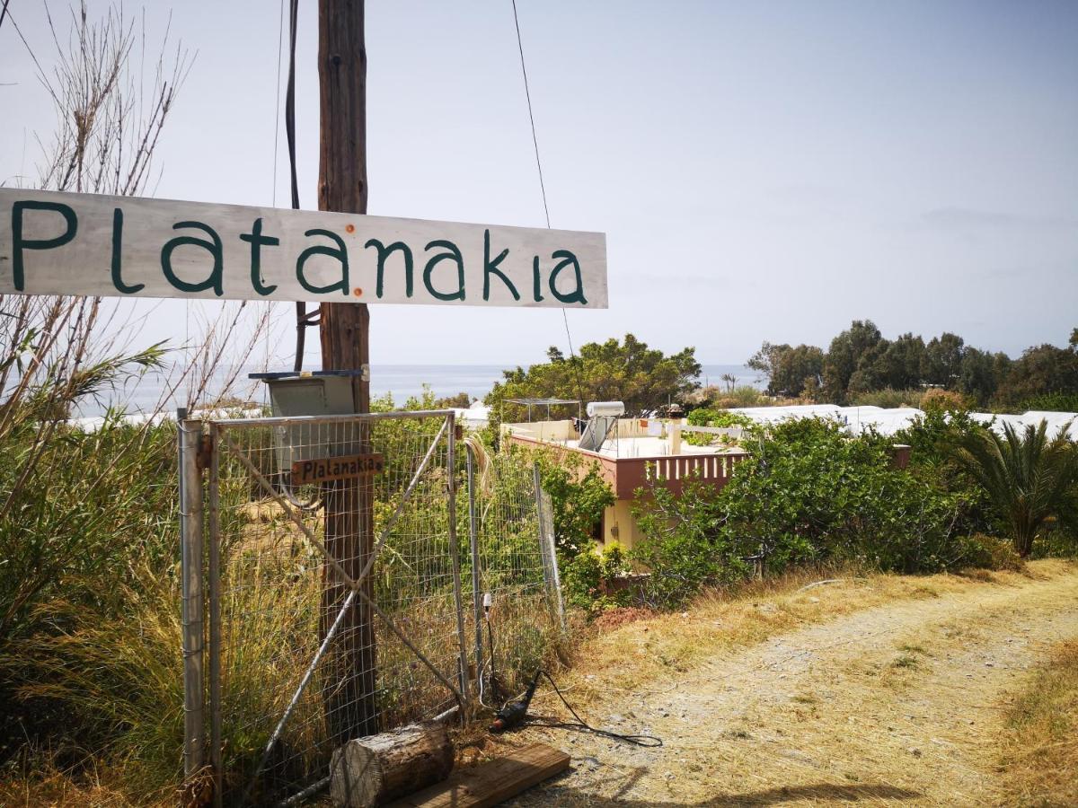 Platanakia Villa Myrtos Dış mekan fotoğraf